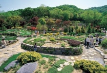 어린이날 신록과 함께…경기도, 수목원 5곳 추천