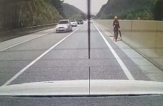 길 잃고 고속도로 위 걷던 80대 할머니 경찰 도움으로 무사 귀가