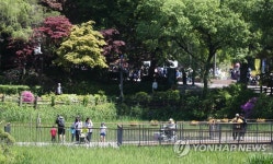 화창한 휴일, 산책하기 좋은 날