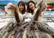 롯데마트, 대서양산 오징어 판매 개시