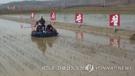 북한, 평안남도 원화농장서 올해 첫 모내기