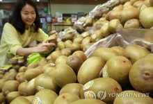 롯데마트, 골든키위 맛보세요