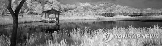 적외선으로 담은 거창창포원