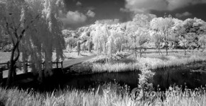 적외선으로 담은 거창창포원