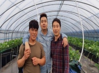 [휴먼n스토리] 곡성 딸기가 좋아 귀농한 3명의 김씨 친구들