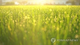봉하마을 사계절 초밀착 다큐 영화 물의 기억 개봉