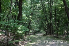 파주삼릉 치유의 숲길 개방