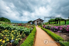 곡성세계장미축제 개막