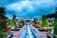 곡성세계장미축제장에 핀 화려한 장미