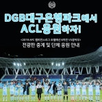 대구FC, DGB대구은행파크서 22일 광저우전 단체 응원
