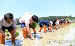전통 모심기도 해보고, 남도들노래도 보고