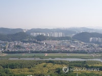 태화강 십리대숲과 축구장
