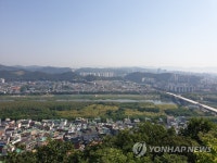 태화강 십리대숲과 축구장