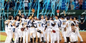 대만프로야구 11년만에 신생팀 창단…내년부터 5구단 체제
