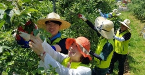 농협 전남노조, 영농철 농촌일손돕기 구슬땀