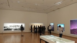 영암군립하정웅미술관 29일 양나희 작가와의 대화