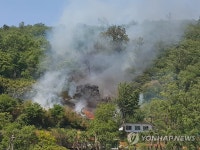 삼척 봉황산서 불…진화 중