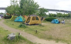 때이른 더위에 아라뱃길 불법 야영·낚시 급증…단속 진땀