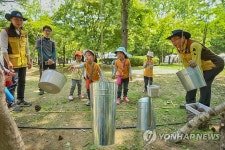 숲에서 놀아요