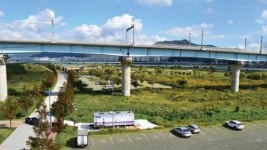 [망가진 낙동강]② 무차별 번식 불과 5년 사이 생태공원마저 접수