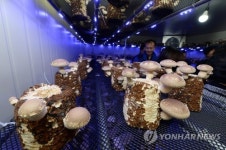 희망이 자라는 아파트지하 버섯농장 더 넓어집니다