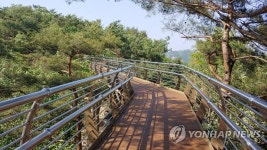 원주 소금산 출렁다리 연결 스카이워크 브릿지 개통