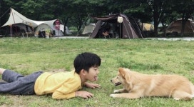 [길따라 멋따라] 특별한 犬님 위한 전국의 반려견 캠핑장 5선