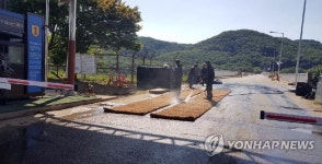 ASF 차단…방역 총력