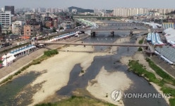 가뭄으로 바닥 드러낸 강릉 남대천