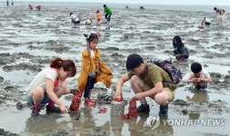 조개 캐고 장어 잡고…고창갯벌축제 7일 개막