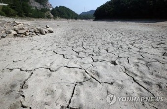식수원 마르고, 농작물 타들어 가고…강릉지역 가뭄 피해