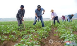 북한 주재 러시아대사관, 남포서 친선노동