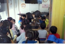서대문구, 14개 초등학교 찾아가는 어린이 안전체험 캠프