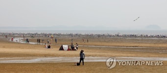 태안 몽산포해변 조개 캐기 체험객 인산인해