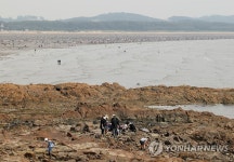 태안 몽산포해변 조개 캐기 체험객 인산인해