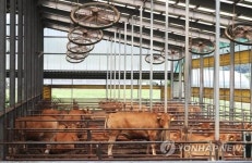축사 적법화 시한 3개월 앞…소규모 축산 농가 폐업 속출