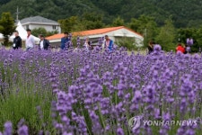 Foto hasil carian Naver 6