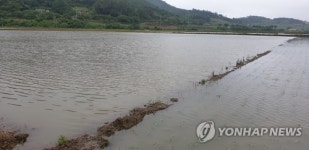 전남 농경지 침수 예방 사업 국비 1천136억원 확보