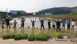 즐거운 모심기
