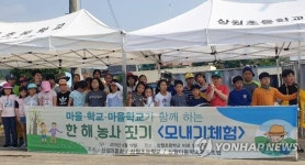 논산 상월마을 주민과 학생이 함께한 모내기