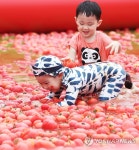 여기가 토마토 천국