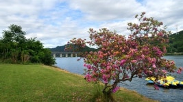 [영화 속 그곳] 인문학적 상상력 자극하는 강변호텔