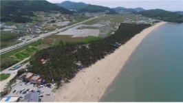 [게시판] 변산반도국립공원 고사포자동차야영장 손님맞이 준비 완료