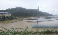 진주 금호·용봉지구 상습침수 막는다…배수개선사업 지정