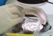 모기 감염병 주의