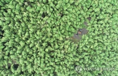 대나무숲 속 쉼터