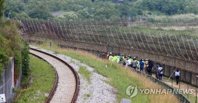 DMZ 평화의 길을 걸어요