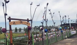 해바라기 보러 오세요 논산 채운 솟대마을서 29일 축제