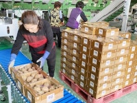 풍작에 울상인 농민 돕자…서산시 농산물 판촉 팔 걷어