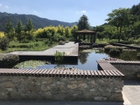 세계 최대 수련 보러오세요…백두대간수목원 수생식물원 조성
